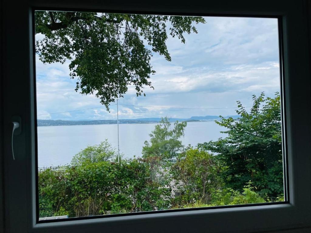 Nice Apartment With1 Bedroom Separate Living Room With A Sofa Bed And A Tiny Kitchen A Bathroom Located In Nordstrand Near By The Sea For 3 Guests With A Garden And Grill 5 Extra Guests With Extra Cost In The Cabin With Sea View Just Outside The Apar Осло Экстерьер фото